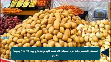أسعار الخضراوات في أسواق الأقصر اليوم تترواح بين 10 و15 جنيهاً للكيلو